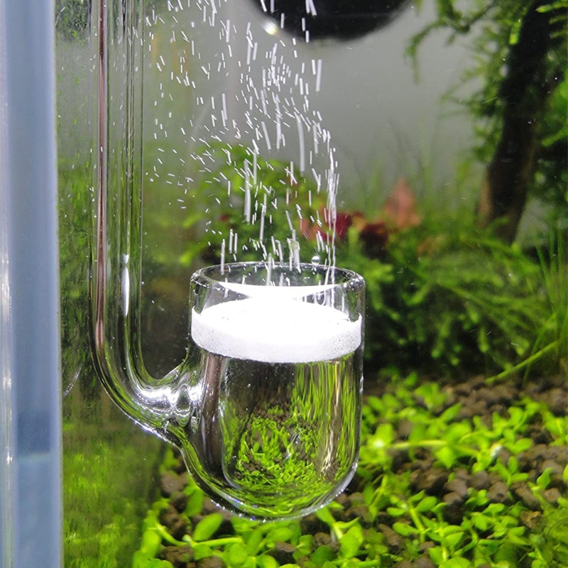 Aquarium Plant Design - D0AD แก้ว CO2 Diffuser สำหรับพิพิธภัณฑ์สัตว์น้ำปลูกสำหรับถัง Simple
