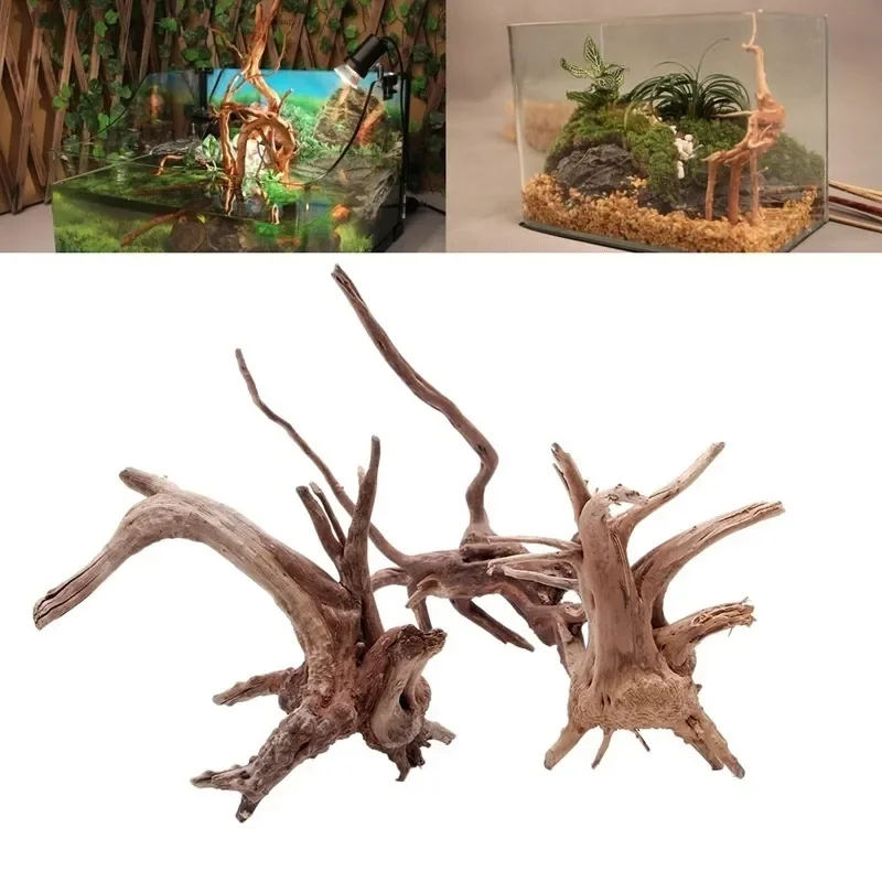 Aquarium Plant Design - ต้นไม้ธรรมชาติลำต้นไม้ดริฟท์วู้ดตู้ปลาตู้ปลาตู้ปลาตู้ปลาตู้ปลาที่รากกระบอกพืชไม้เครื่องประดับตกแต่งสำหรับพืชในตู้ปลา