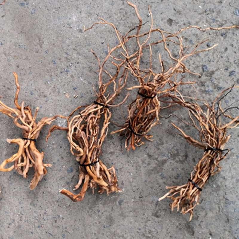 Aquarium Planted Soil - พิพิธภัณฑ์สัตว์น้ําภูมิทัศน์ไมโครธรรมชาติ Driftwood Root Trunk ต้นไม้ DIY