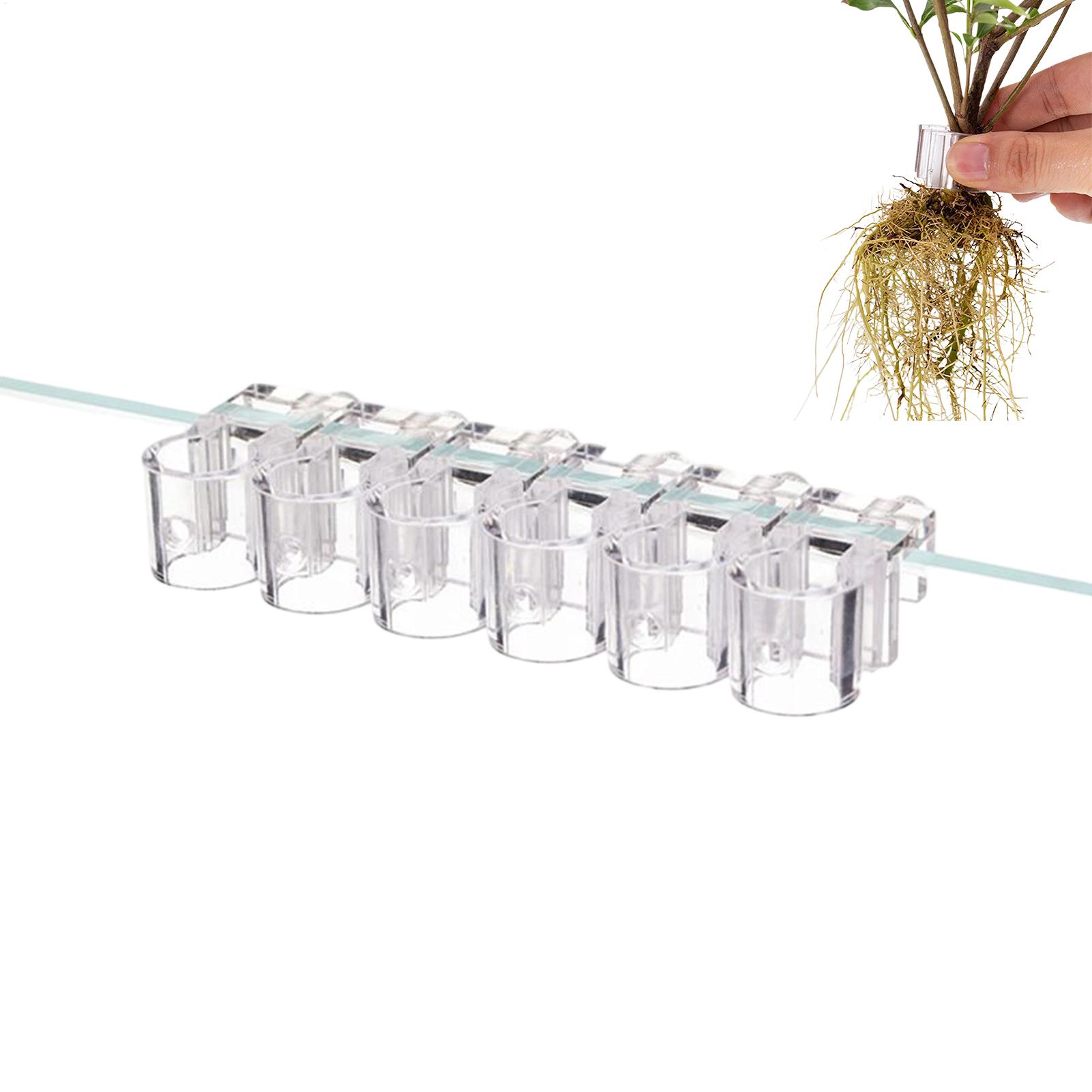 Aquarium Plant Diseases - ที่แขวนต้นไม้สำหรับตู้ปลา 6 ชิ้น ที่แขวนต้นไม้แบบใส ที่แขวนต้นไม้น้ำแบบแขวนได้ สำหรับตู้ปลา