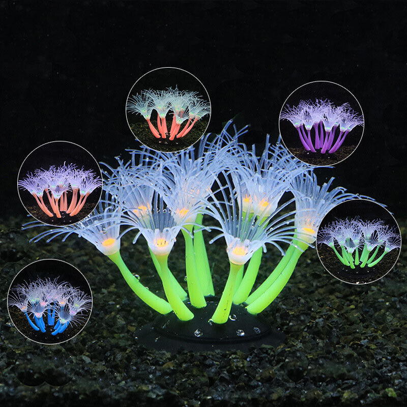 ซิลิโคนเรืองแสงตกแต่งตู้ปลา ปล - Aquarium Plant Design บทวิจารณ์และราคา