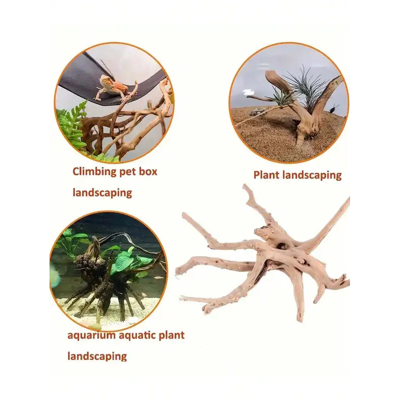 ไม้ลอยน้ำธรรมชาติสำหรับตกแต่งต - Aquarium Plant Design บทวิจารณ์และราคา