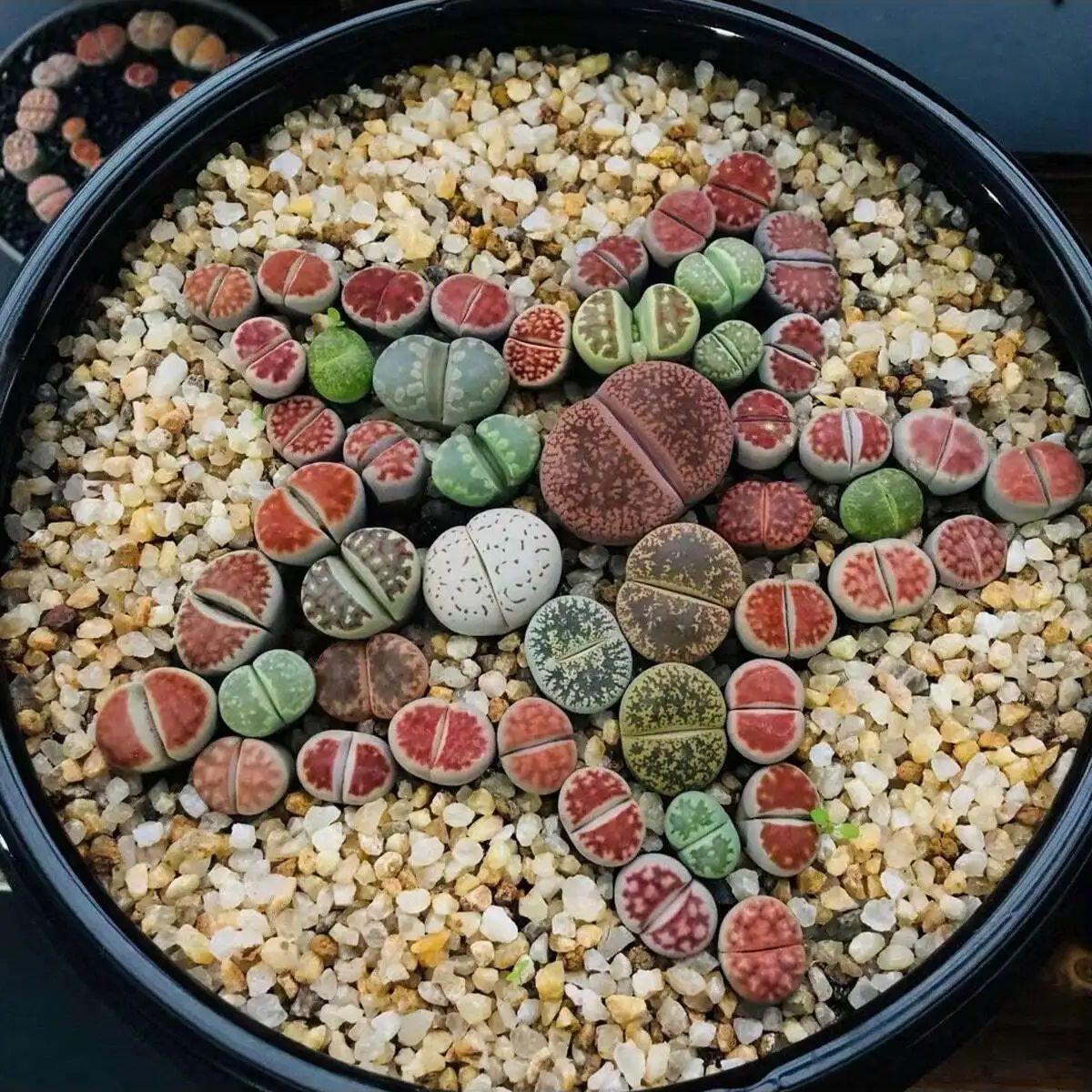 1 pc-250g คริสตัลธรรมชาติกรวดห - Aquarium Planted Soil บทวิจารณ์และราคา