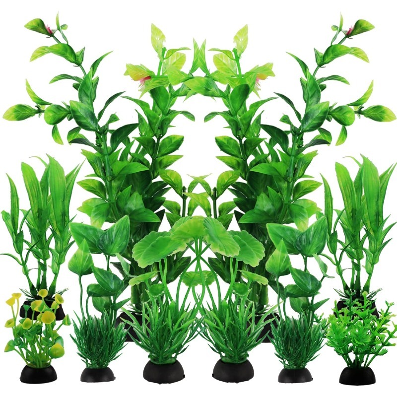 10 ชิ้น/เซ็ตพืชประดับตู้ปลาประ - Aquarium Plant Vine บทวิจารณ์และราคา