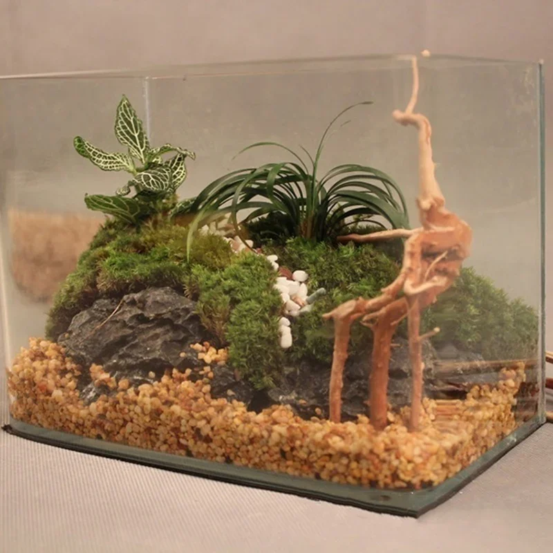 ต้นไม้ธรรมชาติลำต้นไม้ดริฟท์วู - Aquarium Plant Design บทวิจารณ์และราคา