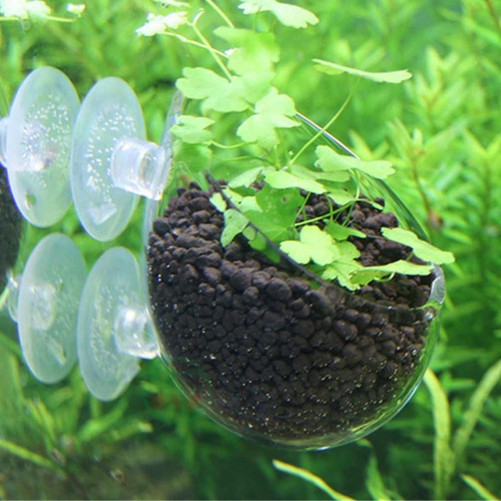 ที่วางต้นไม้ในตู้ปลา กระถางแก้ - Planted Aquarium Media บทวิจารณ์และราคา