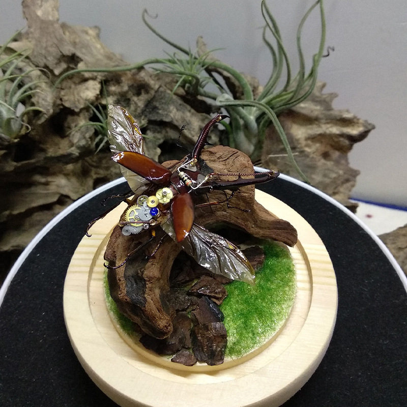 ของตกแต่งตู้ปลาขายดี ของตกแต่ง - Aquarium Planted Soil บทวิจารณ์และราคา