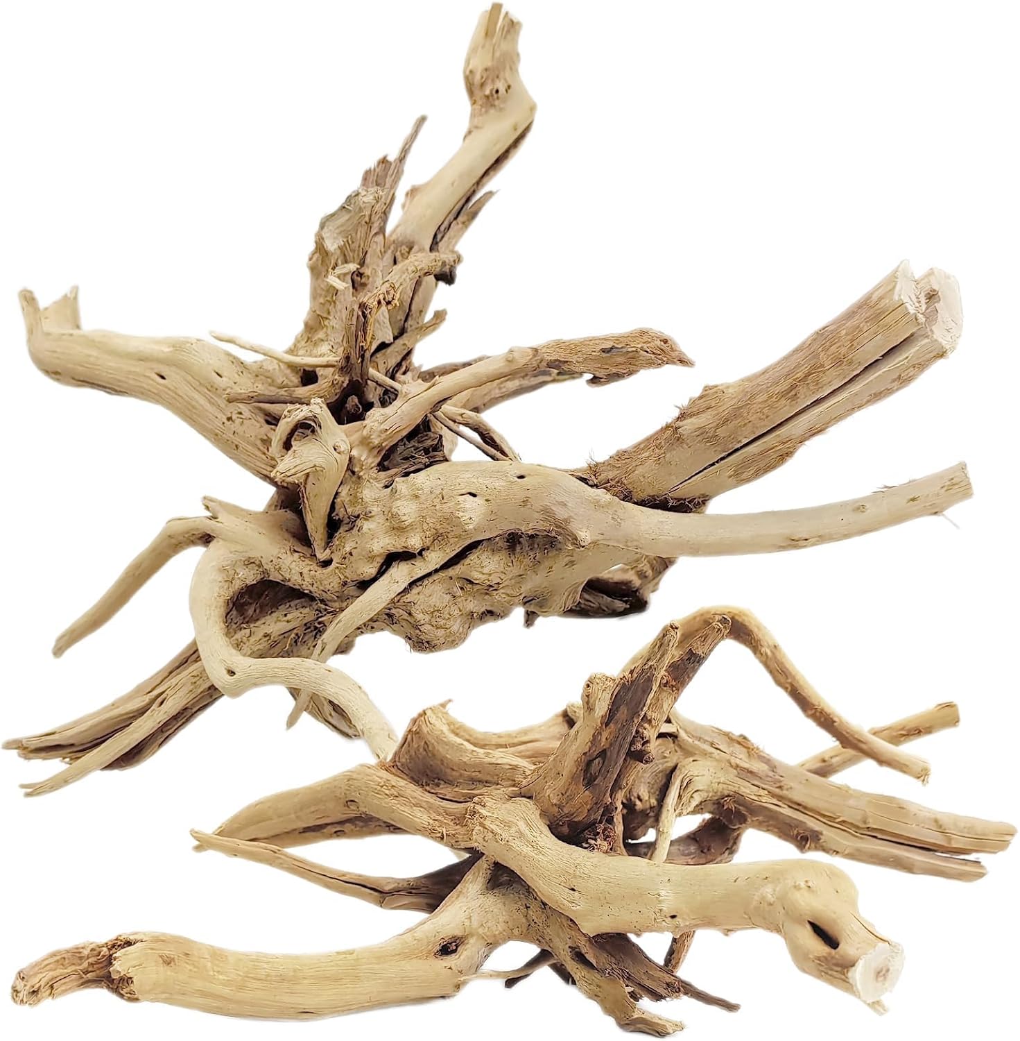ไม้ลอยน้ำธรรมชาติขนาด 20-25 ซม - Aquarium Planted Wood บทวิจารณ์และราคา