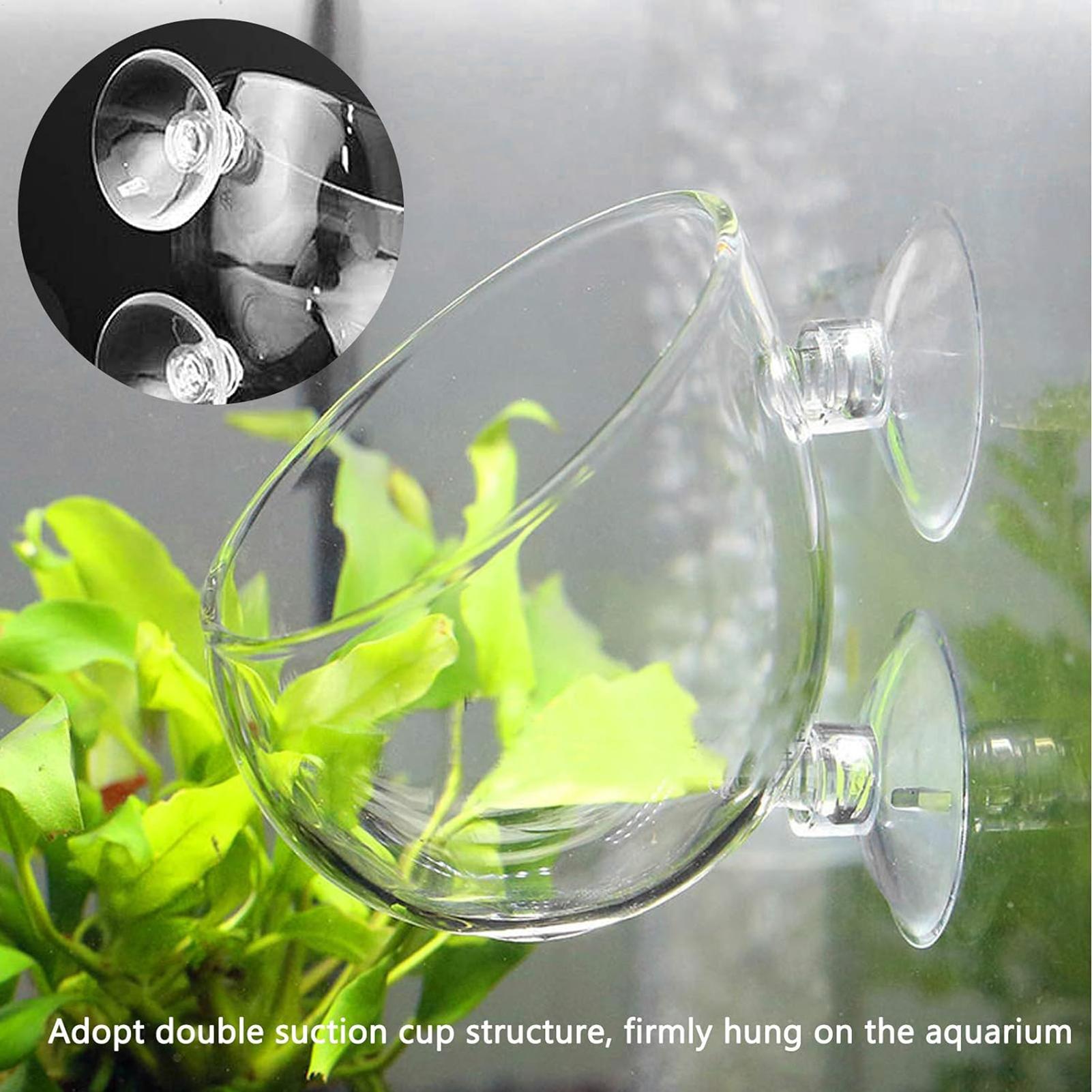กระถางแก้วสำหรับปลูกต้นไม้ในตู - Aquarium Plant Vine บทวิจารณ์และราคา