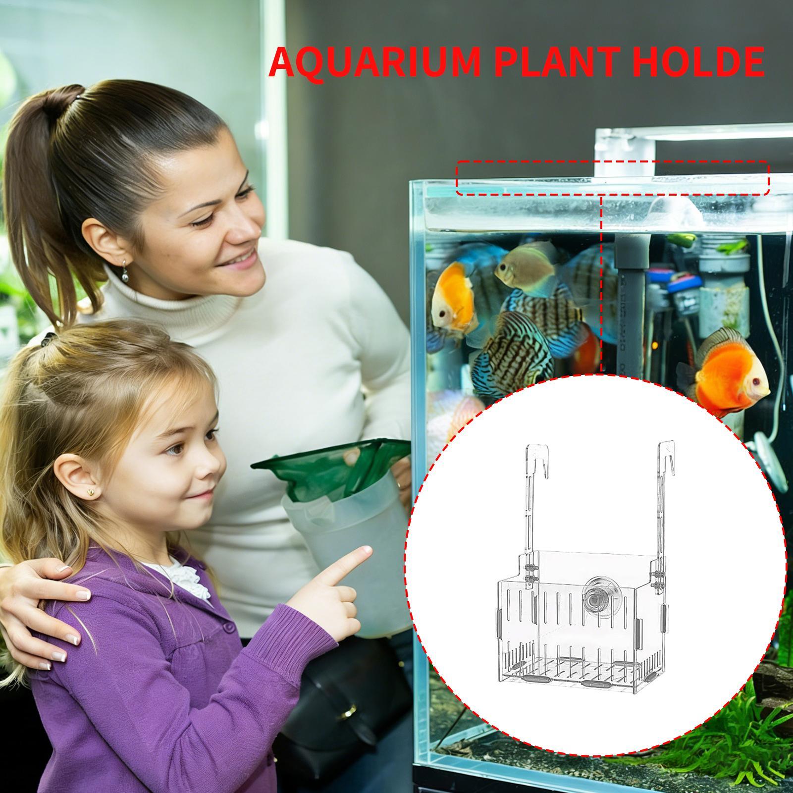 ที่แขวนต้นไม้ในตู้ปลาอะคริลิก  - Aquarium Plant Vine บทวิจารณ์และราคา