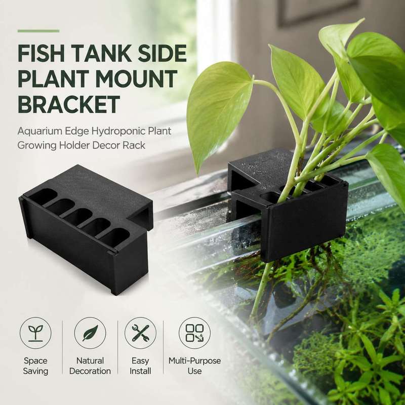 ที่ยึดต้นไม้ข้างตู้ปลา ชั้นวาง - Aquarium Planted Soil บทวิจารณ์และราคา