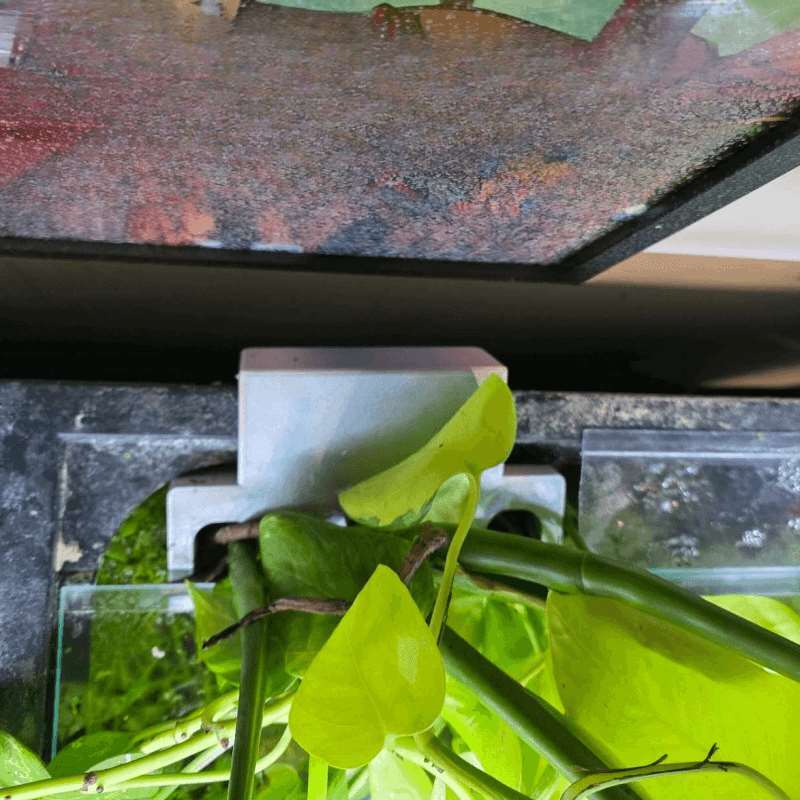 ที่ยึดต้นไม้ข้างตู้ปลา ชั้นวาง - Aquarium Planted Soil บทวิจารณ์และราคา
