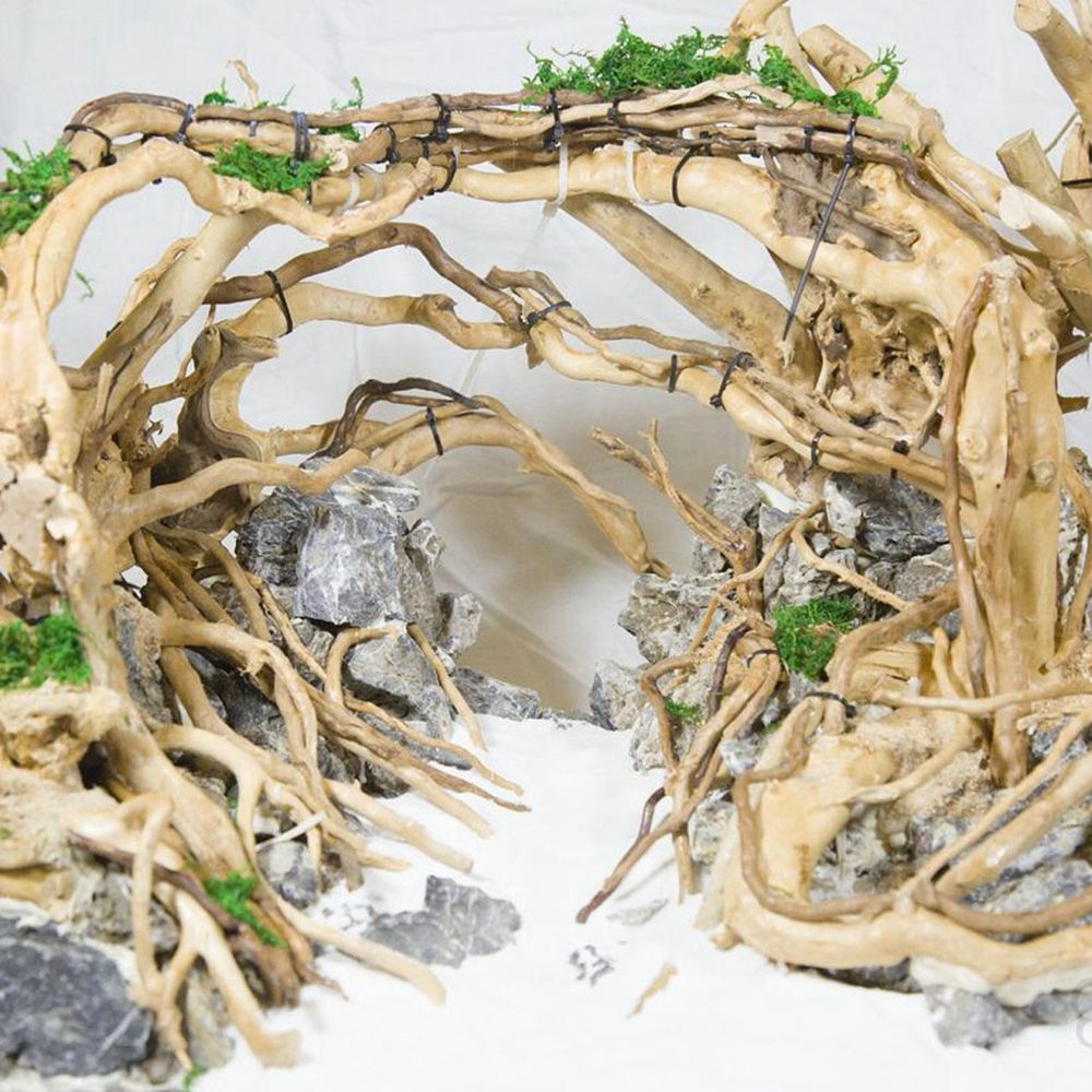 ไม้ตกแต่งตู้ปลา N1N สำหรับจัดส - Aquarium Planted Wood บทวิจารณ์และราคา