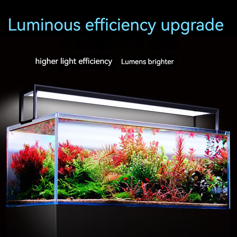 ไฟ LED สำหรับตู้ปลา NETLEA 540 - Aquarium Plant Diseases บทวิจารณ์และราคา