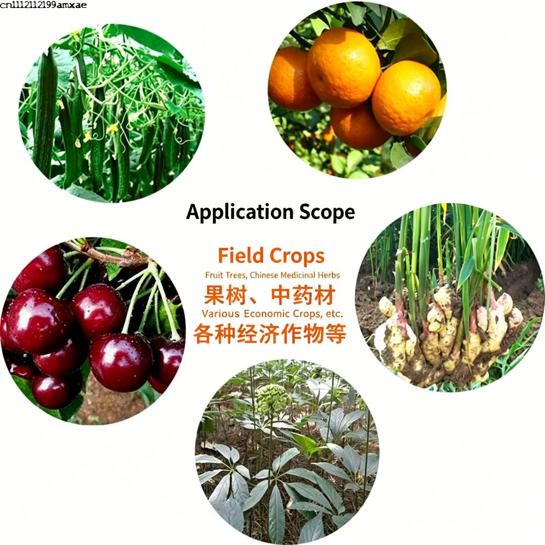 ผงแบคทีเรียบาซิลลัส ซับทิลิส ท - Aquarium Planted Soil บทวิจารณ์และราคา