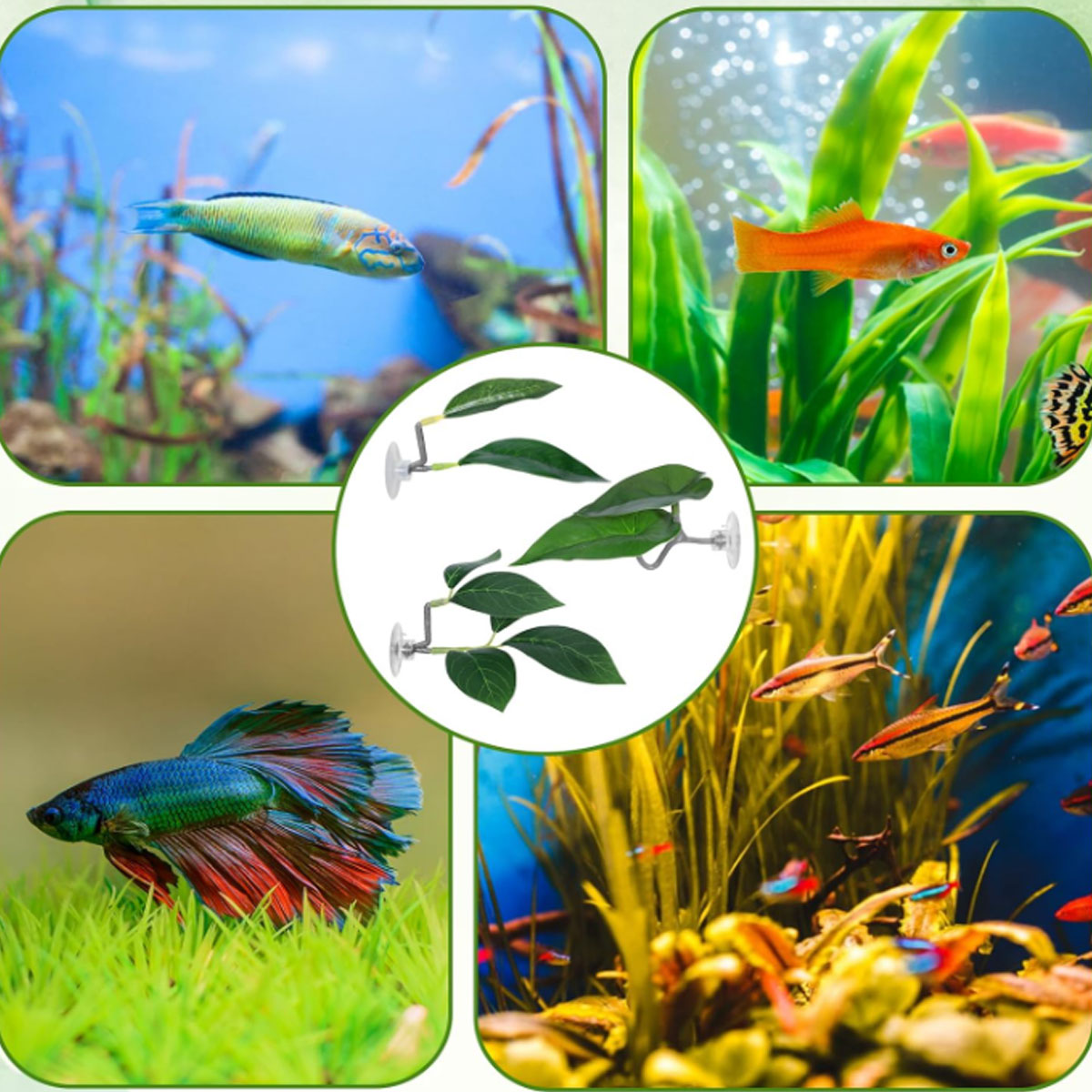 เปลปลาเบตต้า 1 ชิ้น ของตกแต่งต - Aquarium Plant Design บทวิจารณ์และราคา