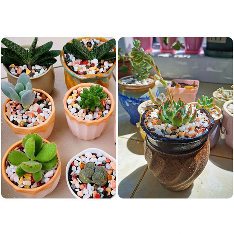 ทรายก้นตู้ปลา DIY อุปกรณ์เสริม - Aquarium Planted Soil บทวิจารณ์และราคา