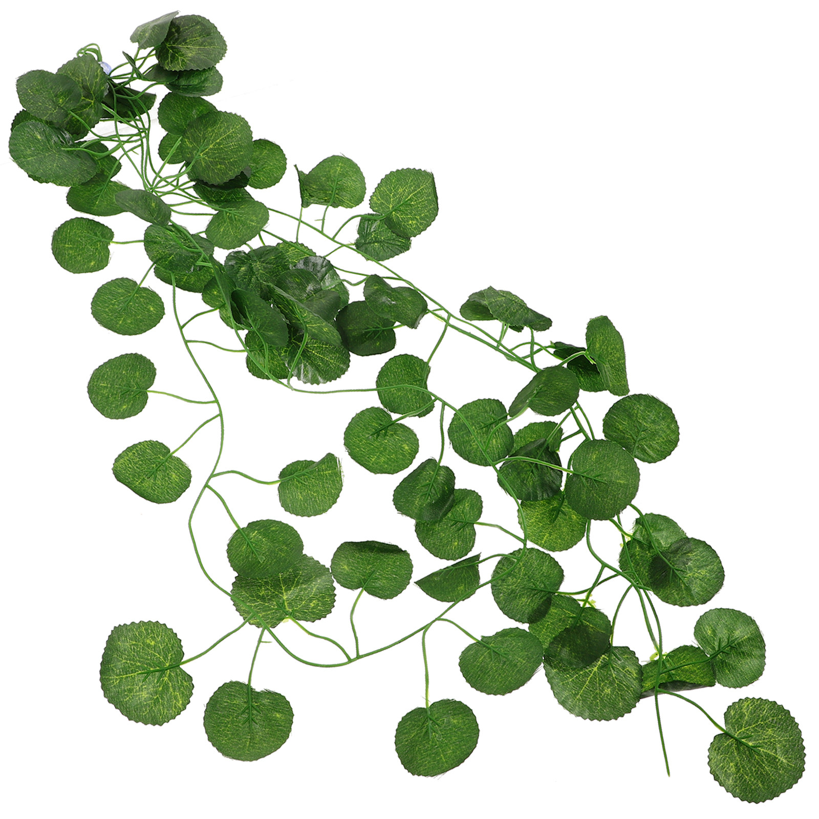 ต้นไม้ประดับแขวนสำหรับสัตว์เลื - Aquarium Plant Vine บทวิจารณ์และราคา