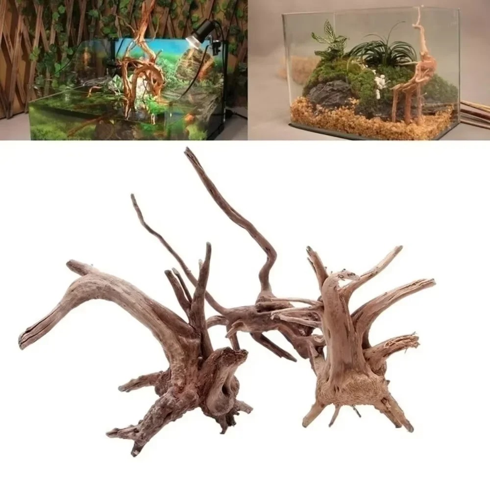 (15-20 ซม.) ไม้ลอยน้ำธรรมชาติส - Aquarium Planted Wood บทวิจารณ์และราคา