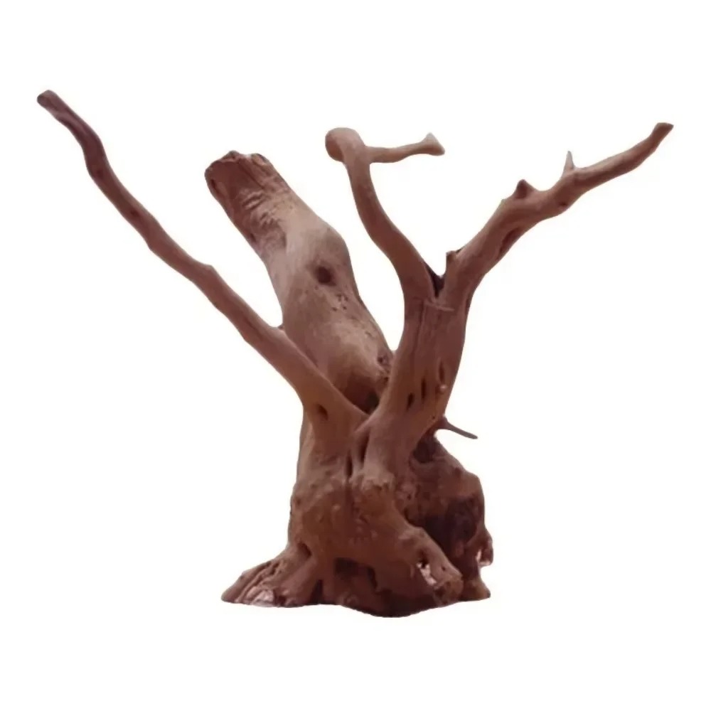 (15-20 ซม.) ไม้ลอยน้ำธรรมชาติส - Aquarium Planted Wood บทวิจารณ์และราคา