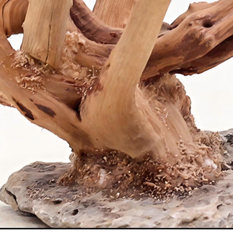 1PC Aquarium ภูมิทัศน์เครื่องป - Aquarium Planted Soil บทวิจารณ์และราคา