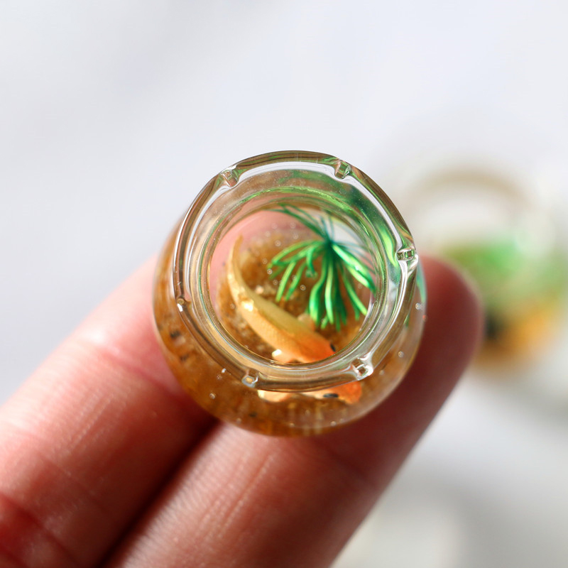 บ้านตุ๊กตาขนาดเล็ก1ชิ้น1:12จำล - Planted Aquarium Photos บทวิจารณ์และราคา