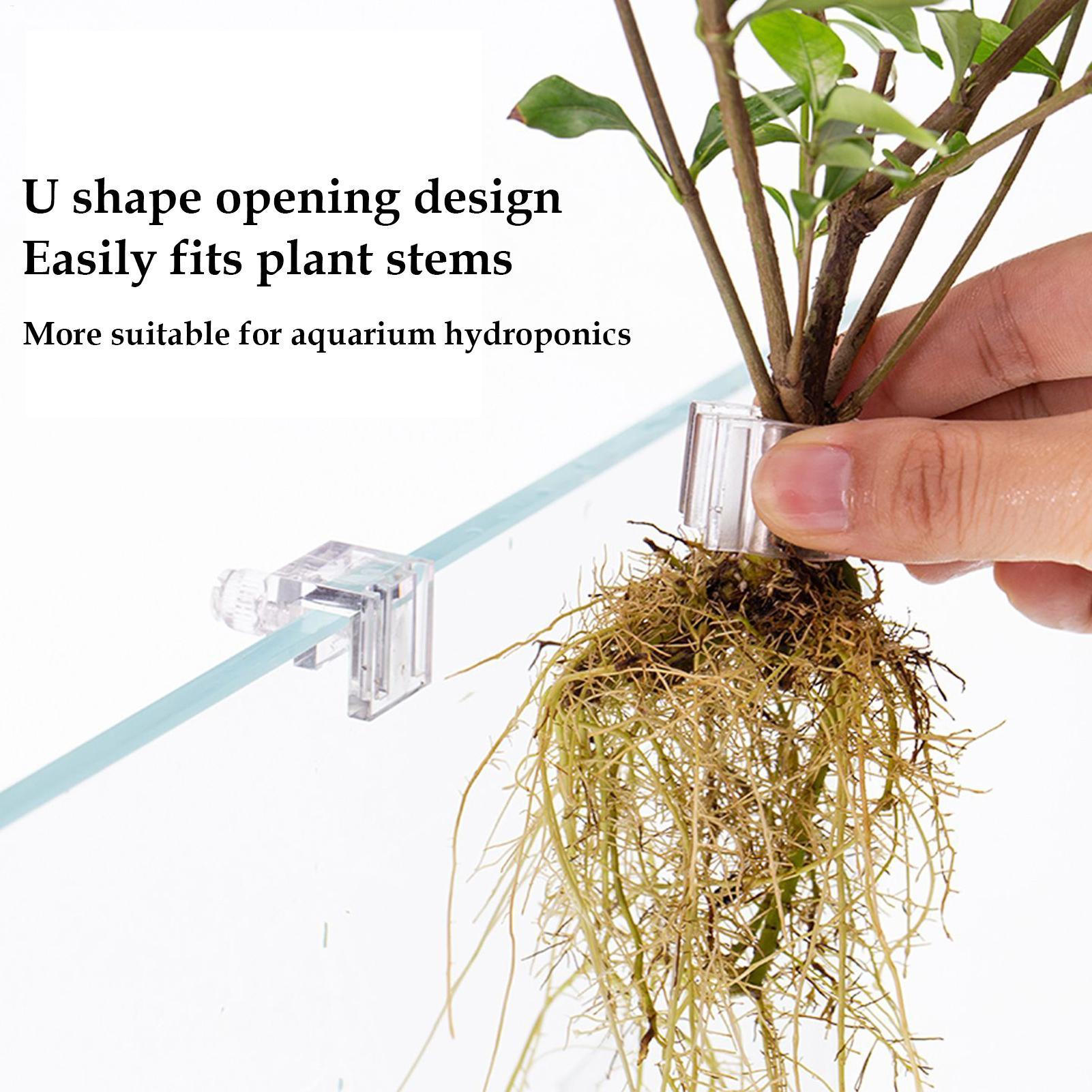 ที่แขวนต้นไม้ในตู้ปลา 6 ชิ้น ถ - Aquarium Planted Soil บทวิจารณ์และราคา