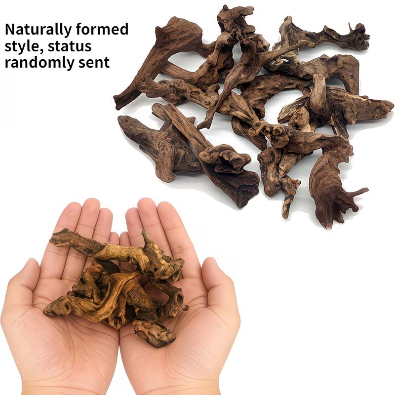 ไม้ลอยน้ำธรรมชาติขนาด 5-10 ซม. - Aquarium Planted Wood บทวิจารณ์และราคา