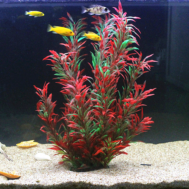 50 ซม.ถังปลาประดิษฐ์พืชหายากAq - Aquarium Plant Design บทวิจารณ์และราคา