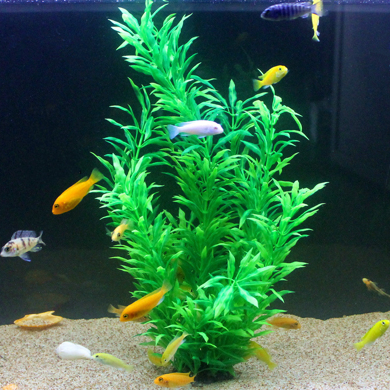 50 ซม.ถังปลาประดิษฐ์พืชหายากAq - Aquarium Plant Design บทวิจารณ์และราคา