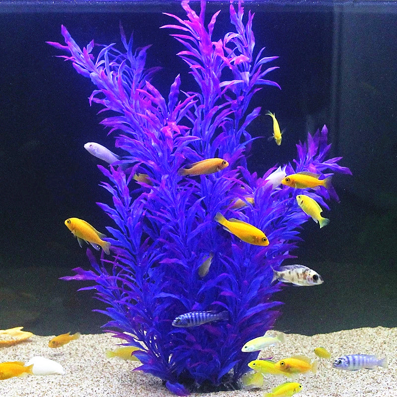 50 ซม.ถังปลาประดิษฐ์พืชหายากAq - Aquarium Plant Design บทวิจารณ์และราคา