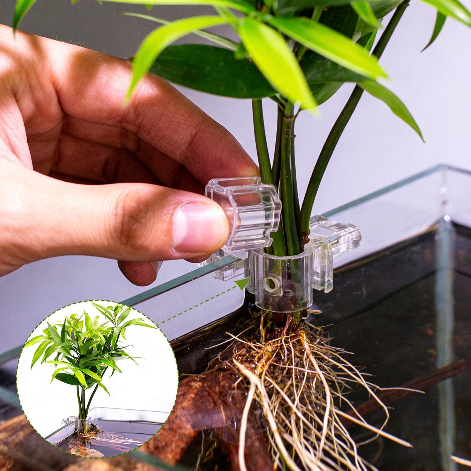 ที่แขวนต้นไม้สำหรับตู้ปลา 6 ชิ - Aquarium Plant Diseases บทวิจารณ์และราคา