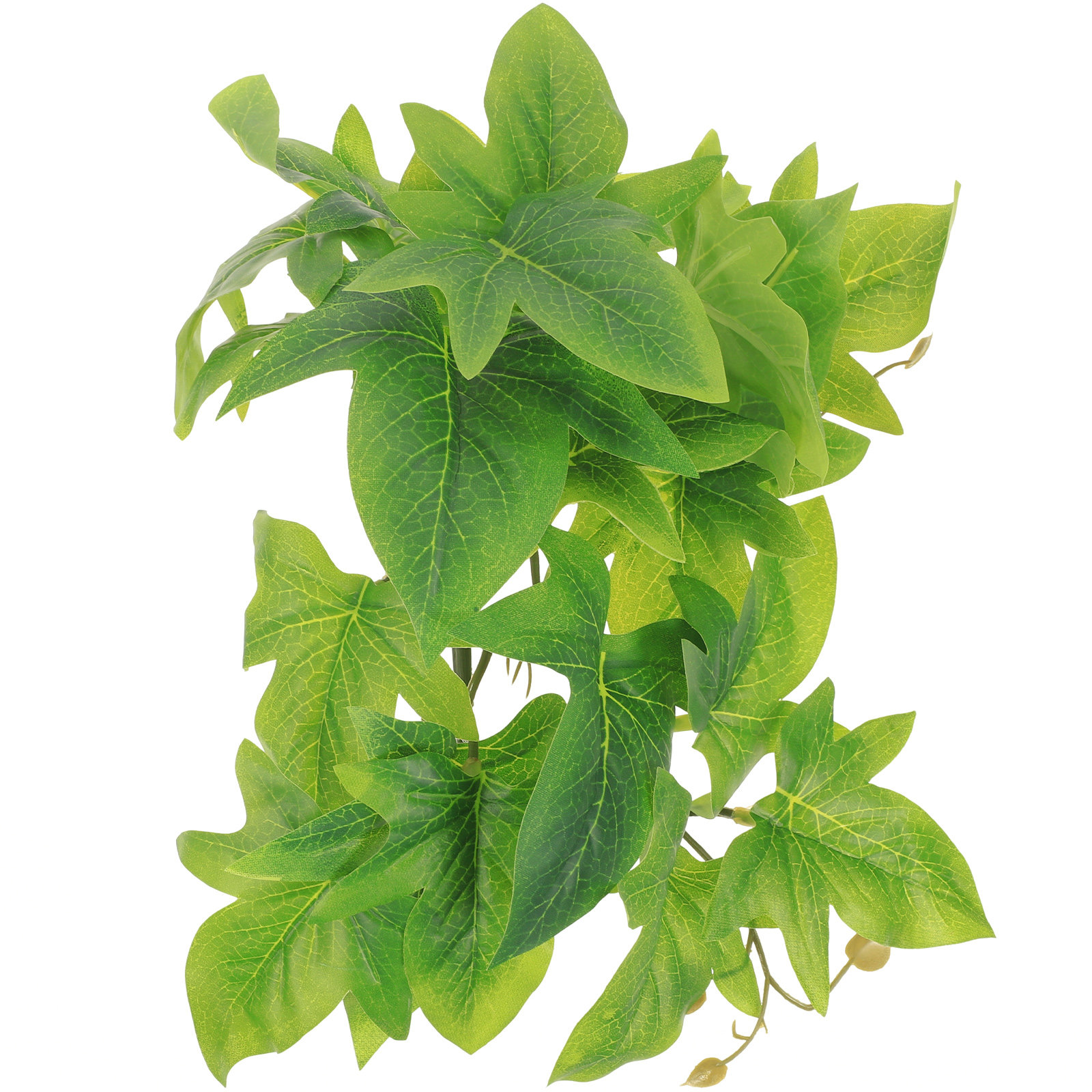 ต้นไม้ประดับติดผนังสำหรับตู้เล - Aquarium Plant Vine บทวิจารณ์และราคา