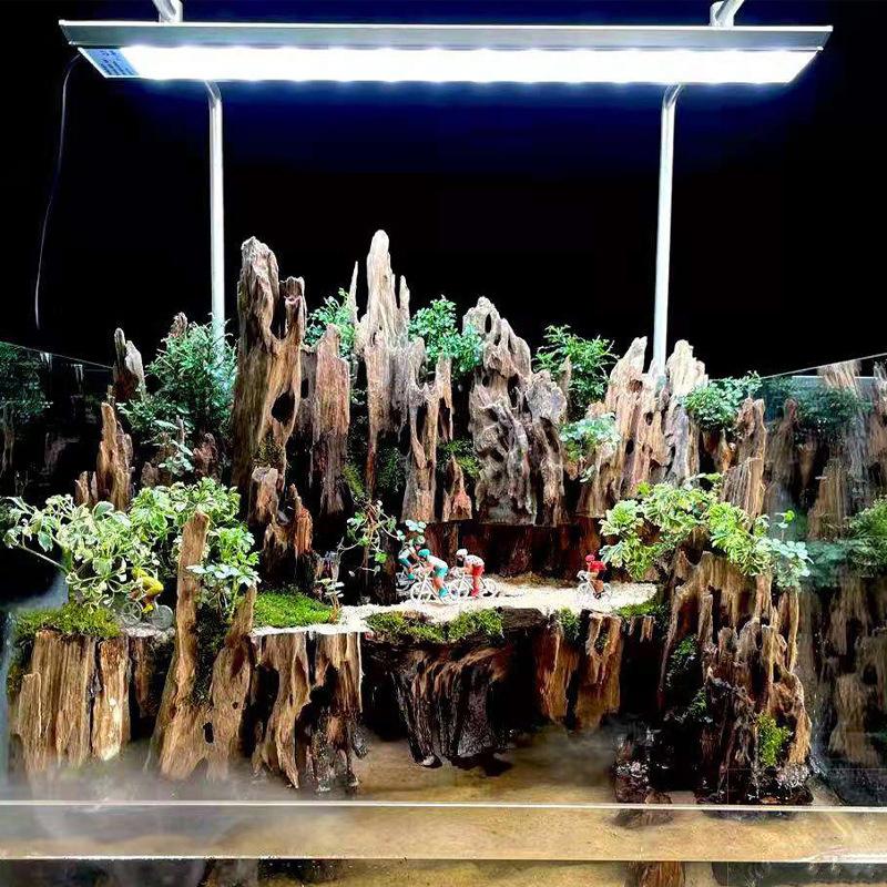△   ไม้ตกแต่งตู้ปลา ไม้ลอยน้ำ  - Aquarium Planted Wood บทวิจารณ์และราคา